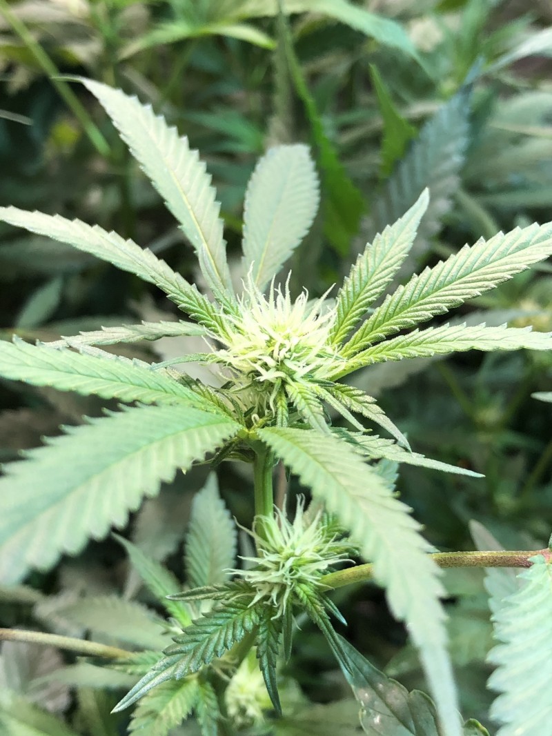 FA7FCC0F-354B-4F69-9FF6-AD5171FB54C7