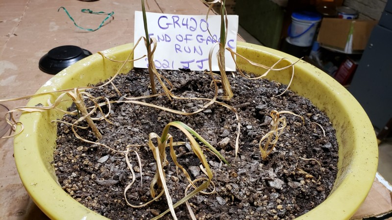 16237177254015226091485472082056