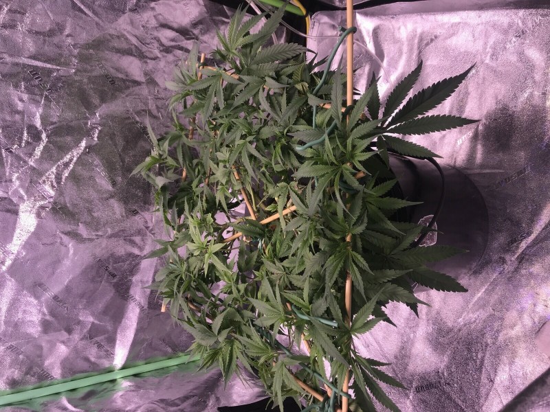 98F20E8B-9C90-4187-AEAD-2642CFA92222