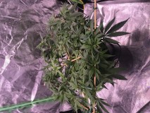 98F20E8B-9C90-4187-AEAD-2642CFA92222