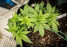 D0F4E231-FF16-4614-A12C-B6A929F3D9A9