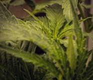 9BB3257E-9D3E-4E94-A7C0-E958DDB2BBF4