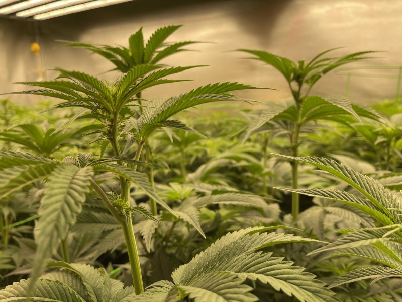 7B60A3E4-2CC6-49E3-A647-CECCD2C4018B