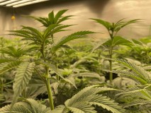 7B60A3E4-2CC6-49E3-A647-CECCD2C4018B