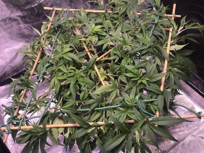 31663092-8803-4BB2-957E-C16D42A12FB2