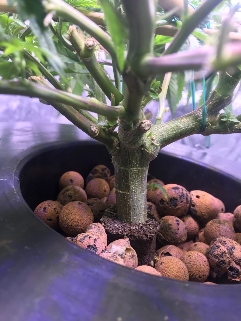 D59424C5-8D92-4D6D-A340-33571C07F4BD