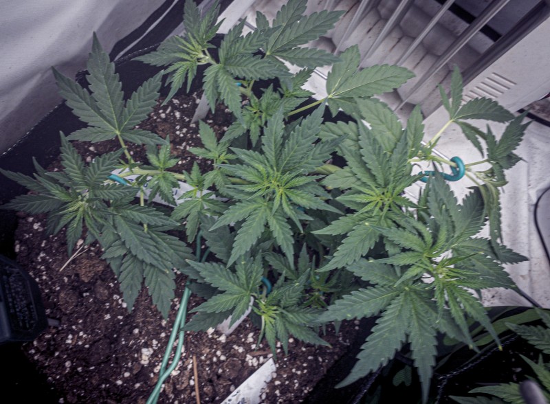 3C4798F3-0487-4959-A8C3-35C64383F66F