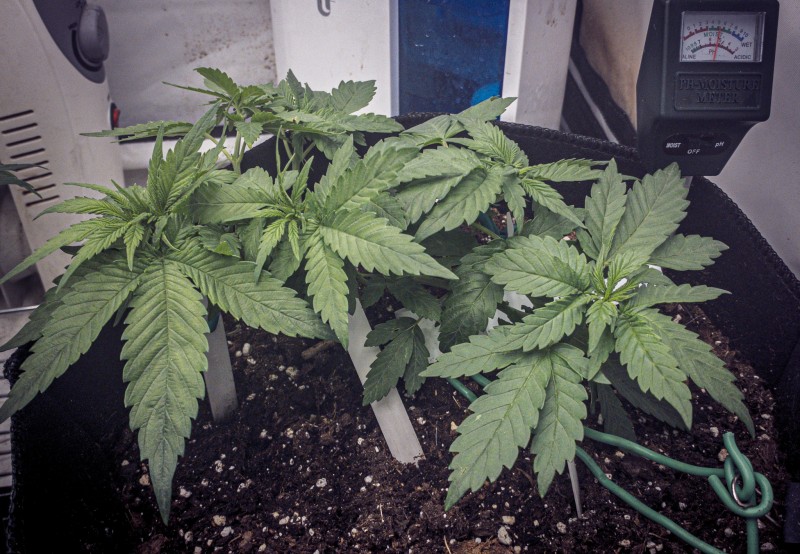 EE469F54-1E92-4258-9E23-1A4D205785A5