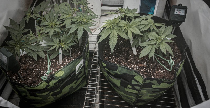 D58F4310-72A0-46C4-BEB6-62ACA701390B