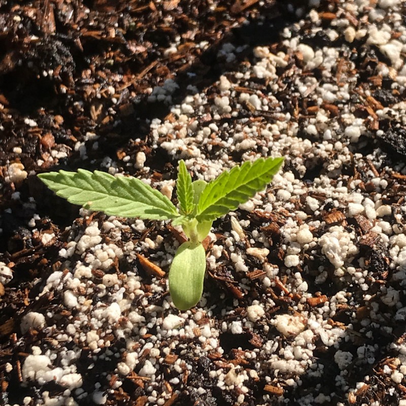 0B60CD41-06C0-4D55-BE4C-7C982C8B9C86