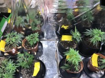 43BFBE94-4CB9-4B8E-BE1A-0328B863D2F0