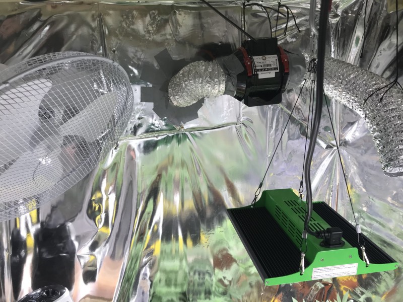 1B2CE00D-7D0E-4CF3-8779-E48A5F2E06F0