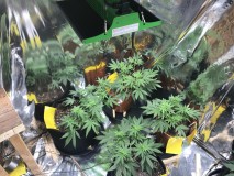 AAF7650F-C854-4965-A2CB-C7642077F987