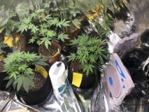 A3CB7788-B0CF-41B7-A5D3-90AB71ABE598