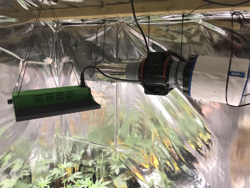 1425E218-7230-4AF0-8800-54241F5AC84E