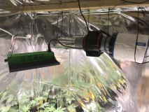 1425E218-7230-4AF0-8800-54241F5AC84E