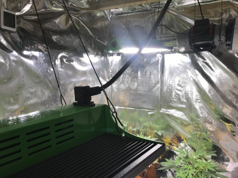 C2C931FF-B843-42CF-8C63-6515C632BE52