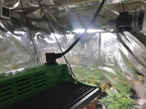 C2C931FF-B843-42CF-8C63-6515C632BE52