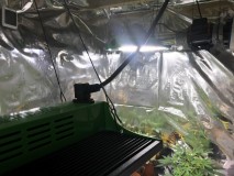 7E66E408-E811-4707-849C-DF87548F7E89