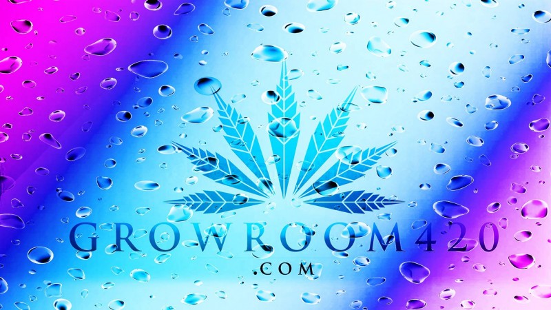 86A1CF1B-5989-4187-A7D2-43250B9C0A1B