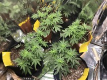 0060D106-E672-494A-9397-7569A5E16B85