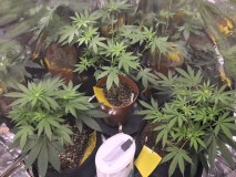 4A831E18-FFE2-496E-B98F-A3E7341DD044