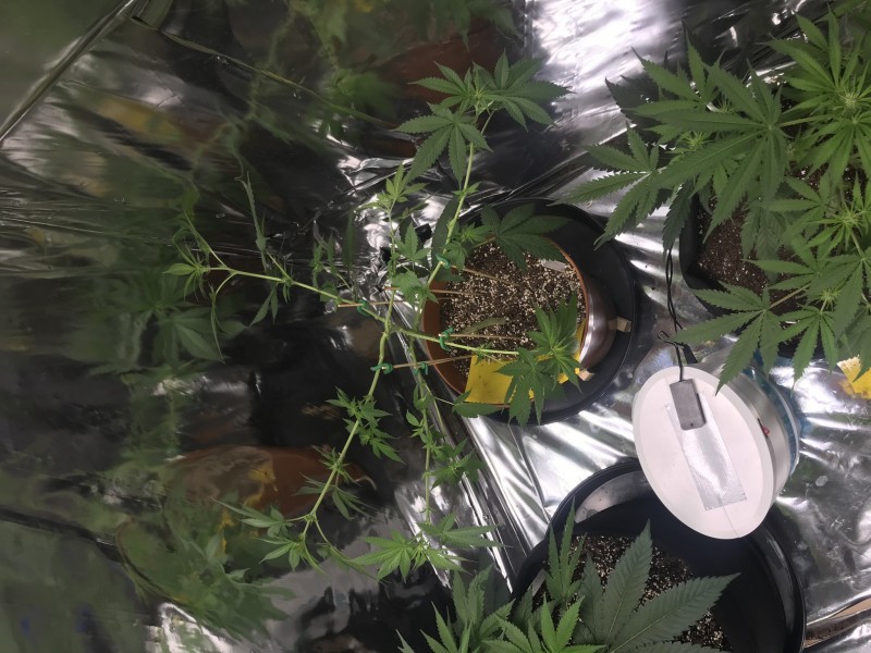 1D65202D-85AB-4CAE-86D2-133BF6C2B6F9