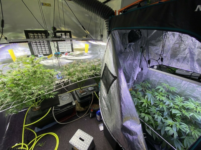 6065E4AC-FFB1-45F3-BC77-CAF8451FD806