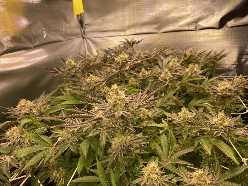 7C173EFB-7CD3-47DC-B7D6-BF3479FDA731