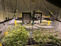 9EEA3F22-5280-4FA3-93AC-D2A0FCDCA9A2