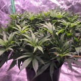 0AB88B40-66C4-470D-938F-617D6B9569E1