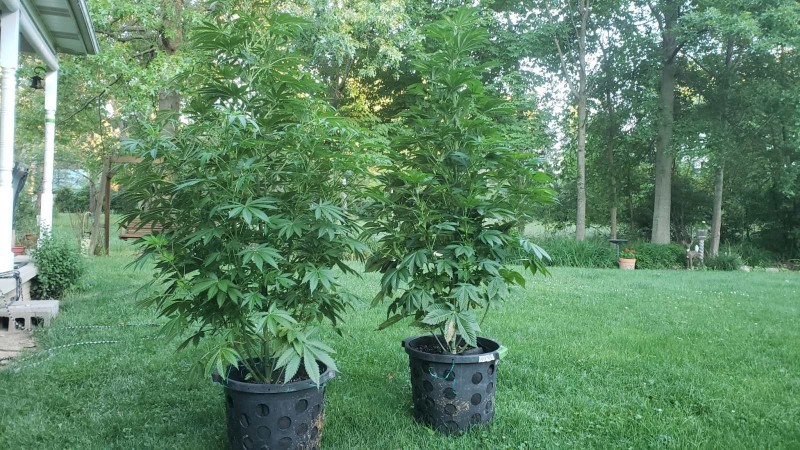 16244077640999107153606155623561