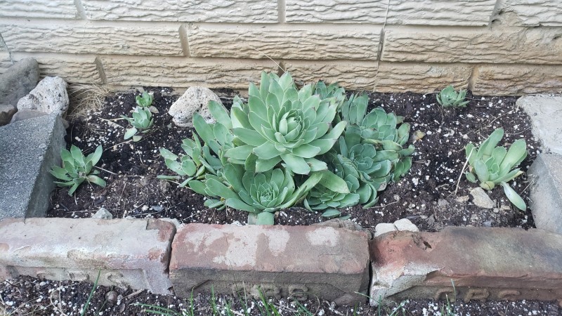 16244080645145421222277472698725