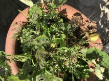 5286FCC6-1BFE-4916-B8E1-437B80662E04