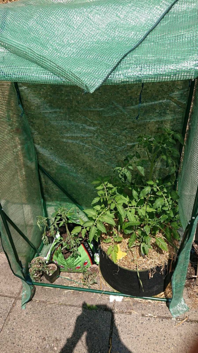 obscura1624447402698