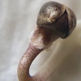 IMG_20210623_135515_394