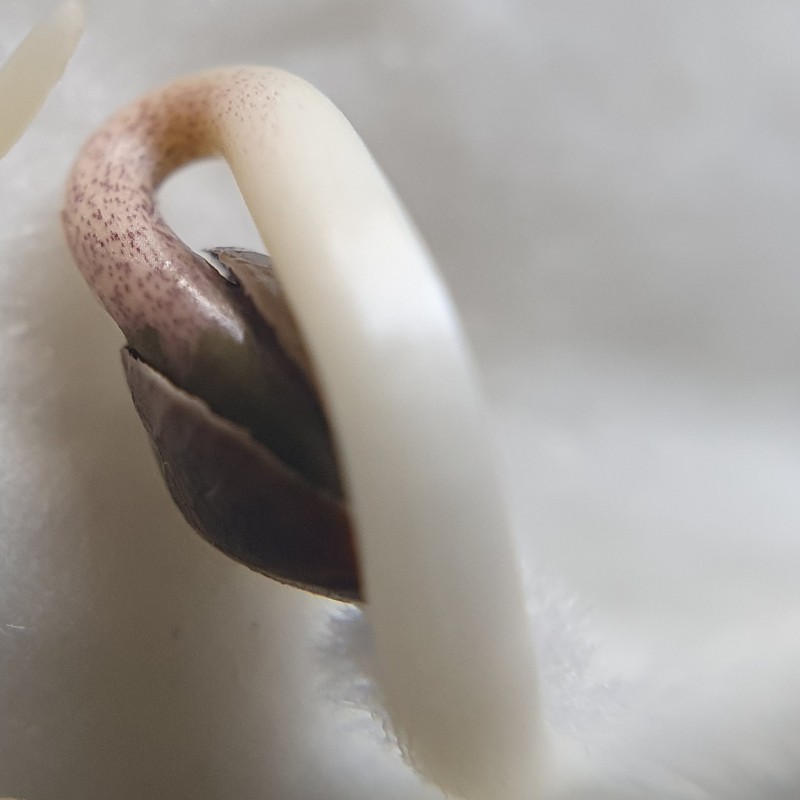 IMG_20210623_135547_888