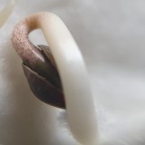 IMG_20210623_135547_888