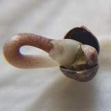 IMG_20210623_135704_979