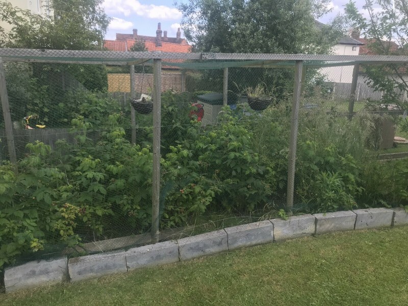 6D2811B8-E33C-4151-88EC-391F6EAAEA39