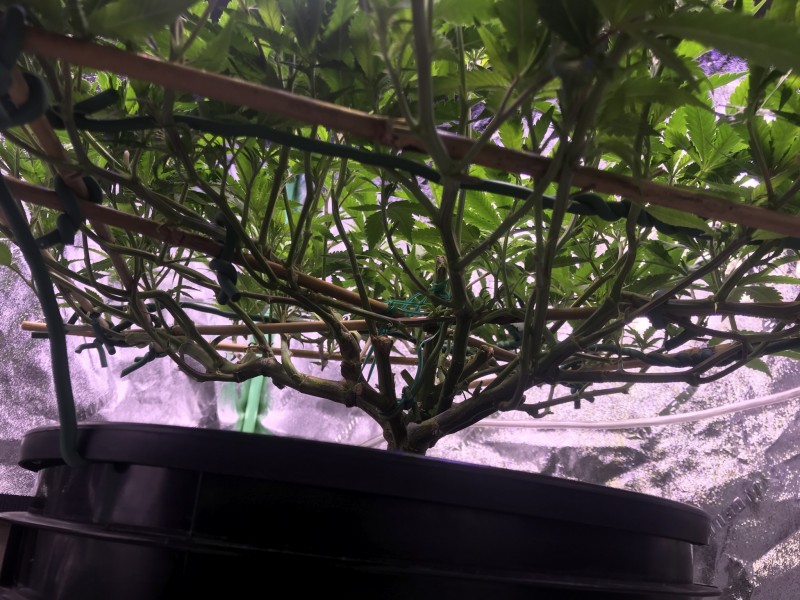 B6C8DFA2-9A4E-4470-9CD2-EE72ACF3A6D3