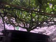 B6C8DFA2-9A4E-4470-9CD2-EE72ACF3A6D3