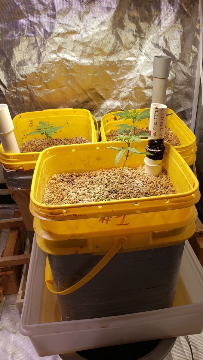 1624482828232294400693064983870