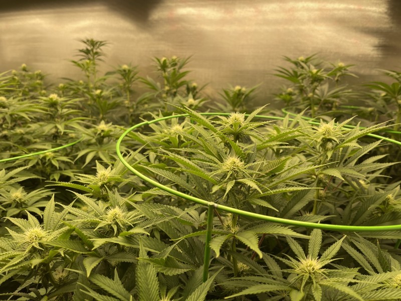 68700C09-93F2-46CA-ADF7-1F61736D4F9A