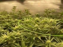 68700C09-93F2-46CA-ADF7-1F61736D4F9A