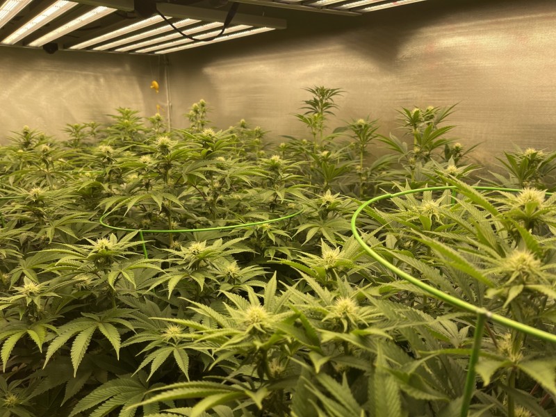 1B9FD57E-869A-400F-B94D-4F86097FBD49