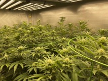 1B9FD57E-869A-400F-B94D-4F86097FBD49