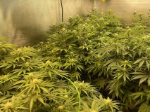 EEBD7DCB-78C3-4934-BEA7-C8D9A3BEBBAB