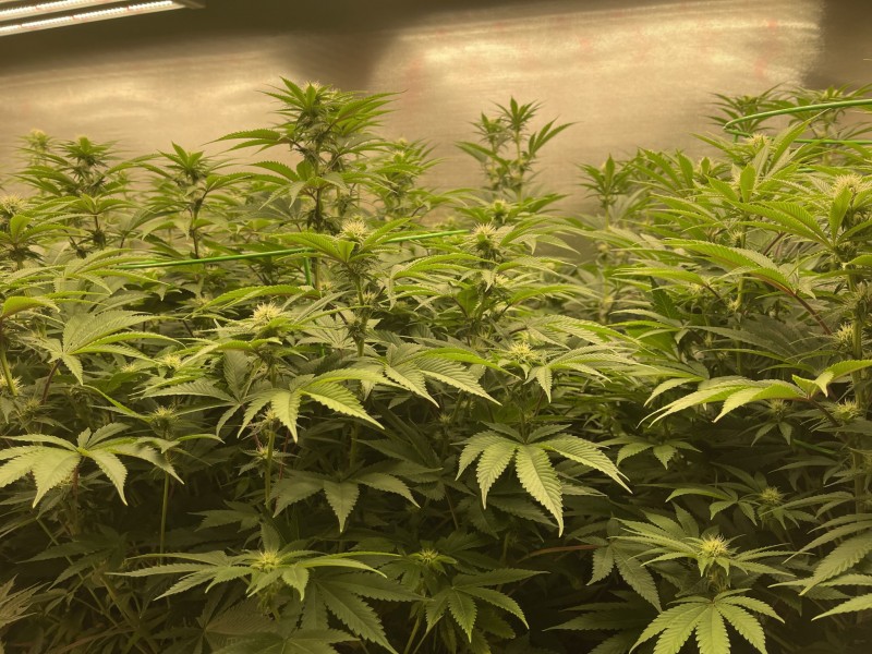 BBEE61B9-2B3B-48AA-85DA-7FA3EA0E9B05