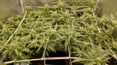 IMG_20210624_094424215_HDR